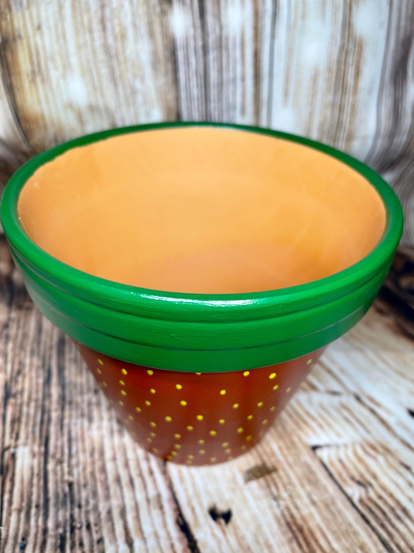 Fruit Terra Cotta Plant Pot | Strawberry Handpainted