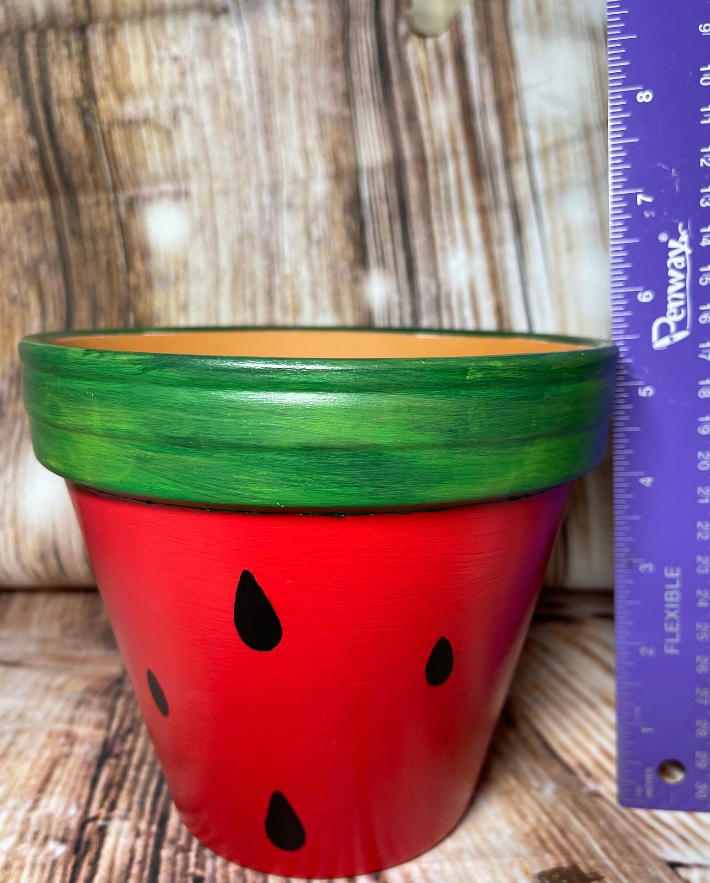 Fruit Terra Cotta Plant Pot | Watermelon