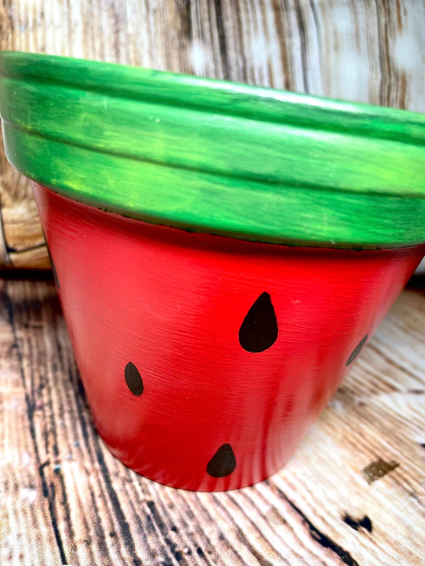 Fruit Terra Cotta Plant Pot | Watermelon