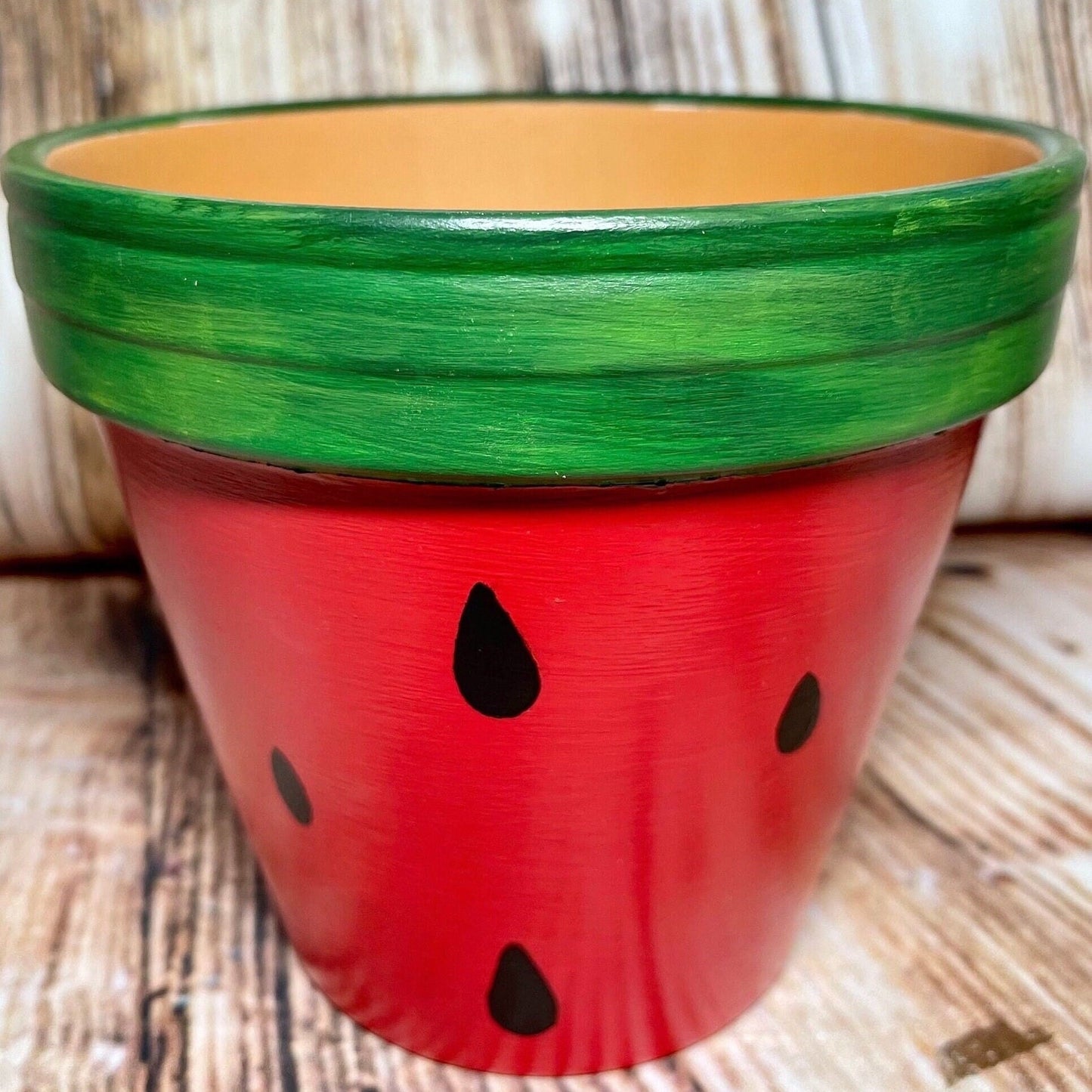 Fruit Terra Cotta Plant Pot | Watermelon